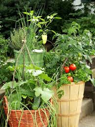 19 Vegetable Container Garden Ideas For