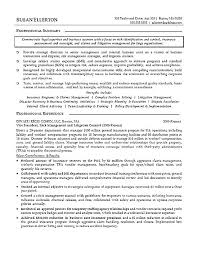 Resume Examples For Lawyers Foodcity Me