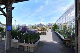 Hertfordshire S Best Garden Centre