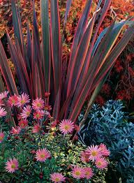 Great Garden Combinations For Fall