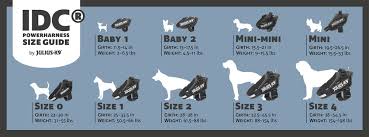 Guide To Sizing Dog Breeds Best 4 Paws