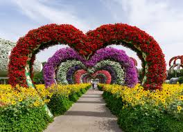 miracle garden images browse 281