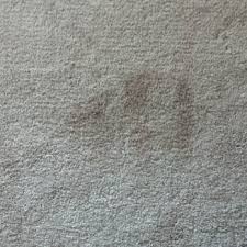 sunny carpet cleaning 8209 1 2 mesa
