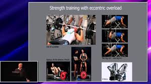 eccentric exercise physiology and