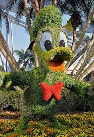 Donald Ducktopiary Topiary Garden