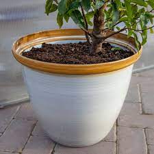 Honey Pot Planter Extra Large 40cm