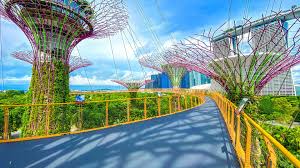 ocbc skyway