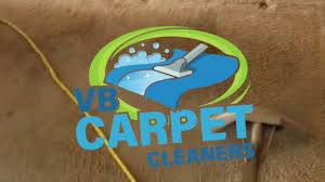 carpet cleaning chesapeake va vb