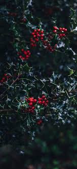 All free to use and new ones coming weekly! 50 Free Stunning Christmas Wallpaper Backgrounds For Iphone