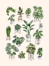 Wall Art Print House Plant Collection