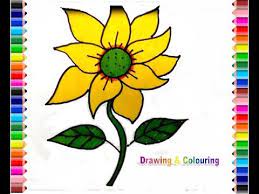 Cara mudah menggambar dan mewarnai bunga matahari dengan krayon. Cara Mewarnai Gambar Bunga Matahari Gambar Mewarnai Bunga