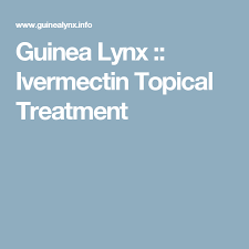 Guinea Lynx Ivermectin Topical Treatment Guinea Pig