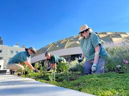 Master Gardeners Of Washoe County