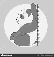 Cute Panda With Height Chart In School Or Kindergarden