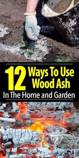 Just take a look at the benefits of charcoal and see if this isn't something. 12 Ways To Use Wood Ash In The Home And Garden