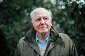 Check out some of our favourite facts about britain's favourite documentary maker, sir david attenborough, in honour of his granting him the title of sir david attenborough. David Attenborough On How Our Changing Climate Affects Wildlife Blog Nature Pbs