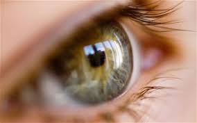App To Test Eyesight As Accurate As Traditional Sight