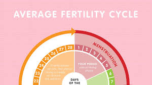 fertile with this easy chart