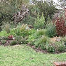 Australian Native Garden