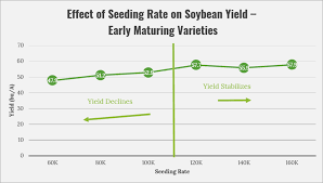 Seeding Rate North Carolina Soybeans