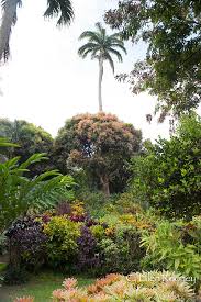 Grenada Gardens Ellen Rooney