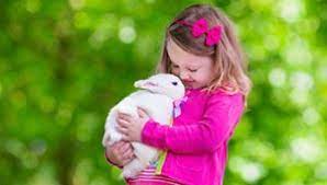Check spelling or type a new query. Petting Zoo Visit Gilroy