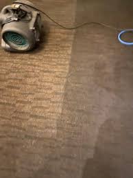rj s carpet upholstery cleaning 6360