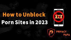 How to Unblock Porn Sites in 2023 [ Workings Methods ] - Privacy Papa