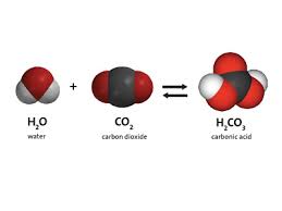 Carbon Dioxide And Water
