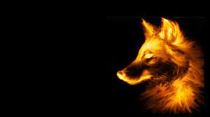 Free download Fire wallpaper wolf on a ...