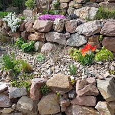 10 best plants for rock gardens the