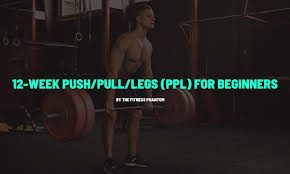push pull legs 12 week program for