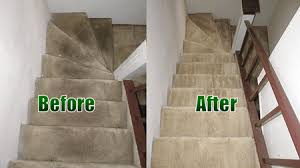 carpet cleaning arlington heights
