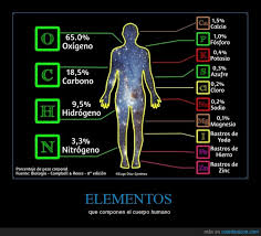 know the 12 chemical elements that make