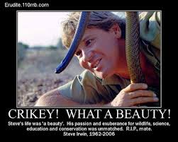 See more ideas about crocodile dundee, dundee, crocodile. Crocodile Hunter Famous Quotes Quotesgram