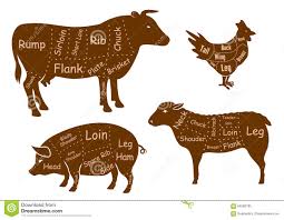 Beef Pork Chicken And Lamb Meat Cuts Stock Vector