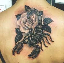 Scorpion tattoo design will suit people who have scorpio zodiac sign. 40 Scorpion Tattoos For Men And Women Scorpion Tattoo Tattoos For Guys Back Tattoos For Guys