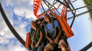 ride busch gardens tigris coaster