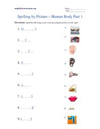 These four matching shapes worksheets are great for beginning readers in kindergarten and first grade. Spelling By Picture Human Body Part 1 Worksheet For 2nd Higher Ed Lesson Planet