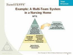 Team Structure Instructor Slides Agency For Health