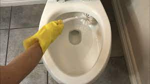 toilet cleaning s