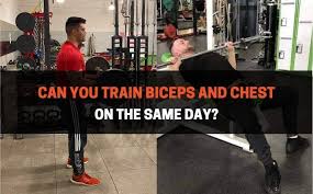 can you train biceps and chest on the