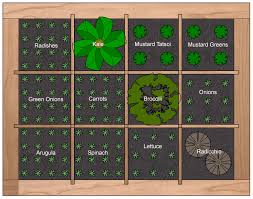 Organic Lawn Diy Winter Square Foot