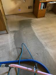 accurate carpet cleaning mold flood
