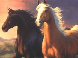 The mustang stallion spirit grows up to proudly succeed his father as leader of the cimarron herd in the unspoiled wild west. Strider Spirit Stallion Of The Cimarron Wiki Fandom