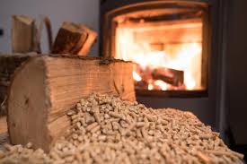 Gas Or Wood Burning Fireplace