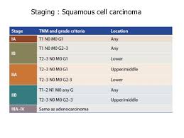 Carcinoma Oesophagus