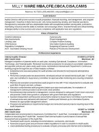 audit director resume example