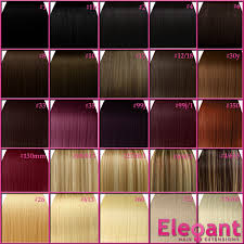 Plum Burgundy Hair Color Highlights Dark Brown Hairs Of