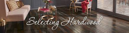 selecting hardwood from abbey carpet